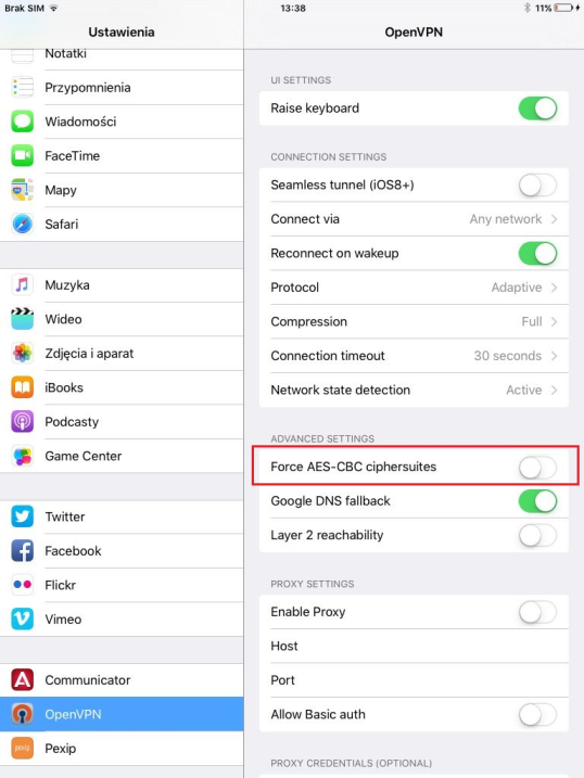 iPad OpenVPN VPN