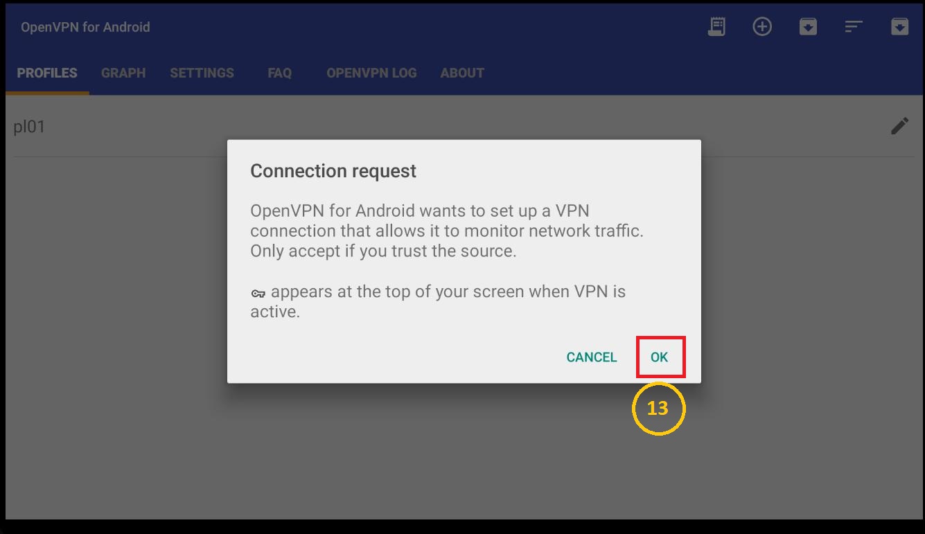 GoogleTV OpenVPN