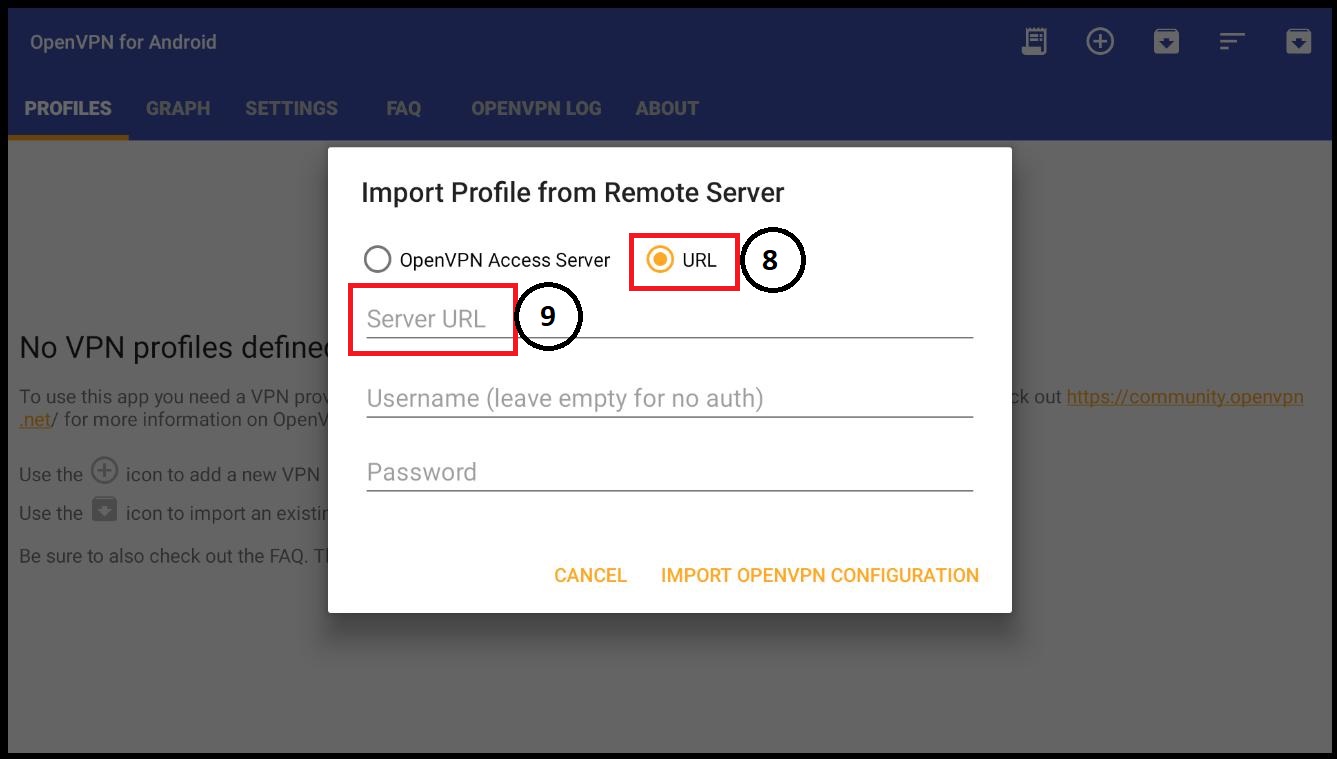 GoogleTV OpenVPN