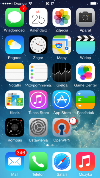 iPhone OpenVPN VPN