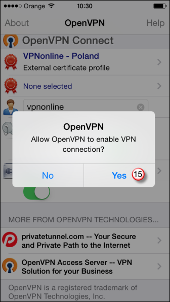 iPhone OpenVPN VPN