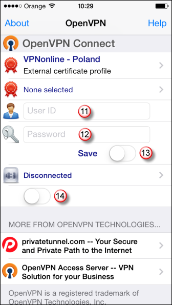 iPhone OpenVPN VPN