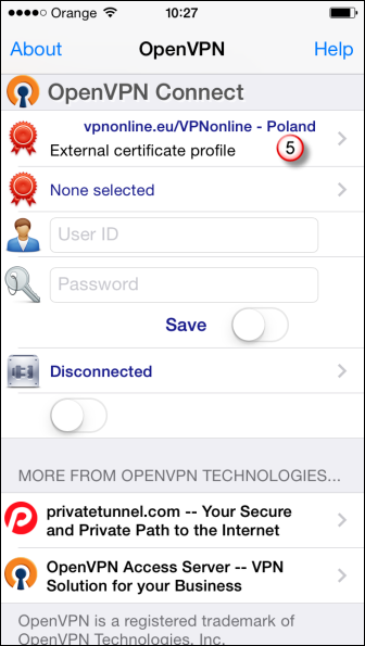 iPhone OpenVPN VPN